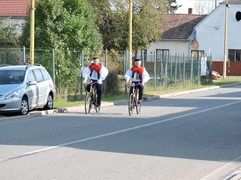 stažený soubor1