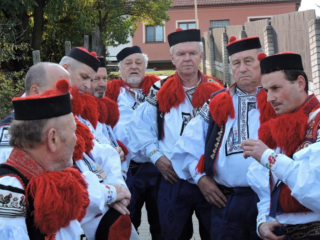 stažený soubor1¨2
