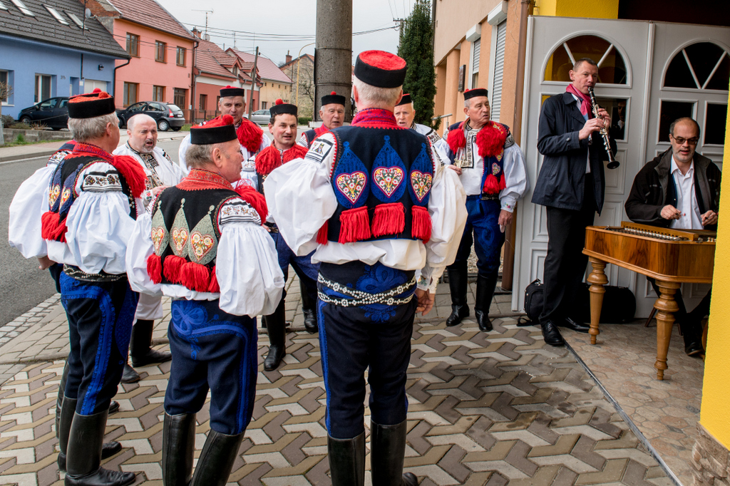 RZ6_7554